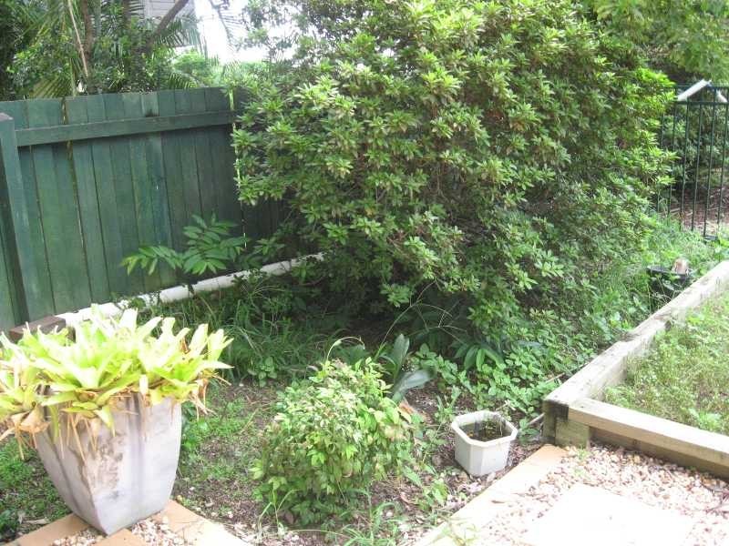 2 Plantation Parade, Buderim QLD 4556