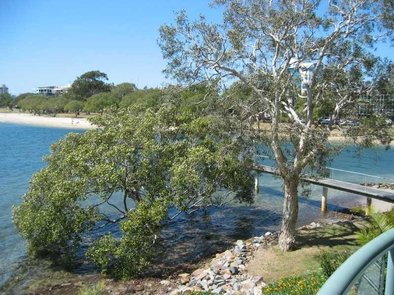 Unit 3/2 Duporth Avenue, Maroochydore QLD 4558