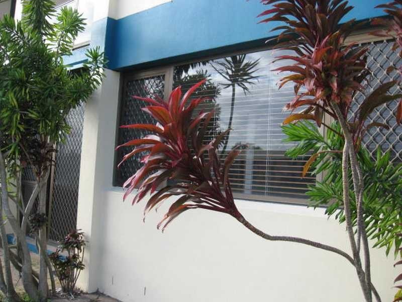 Unit 2/11 Pangarinda Place, Mooloolaba QLD 4557