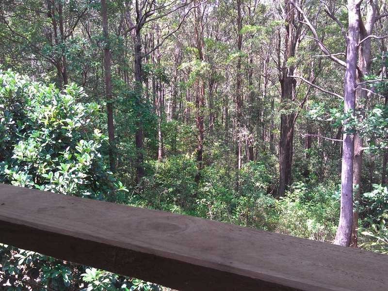 77 Jones Rd, Buderim QLD 4556