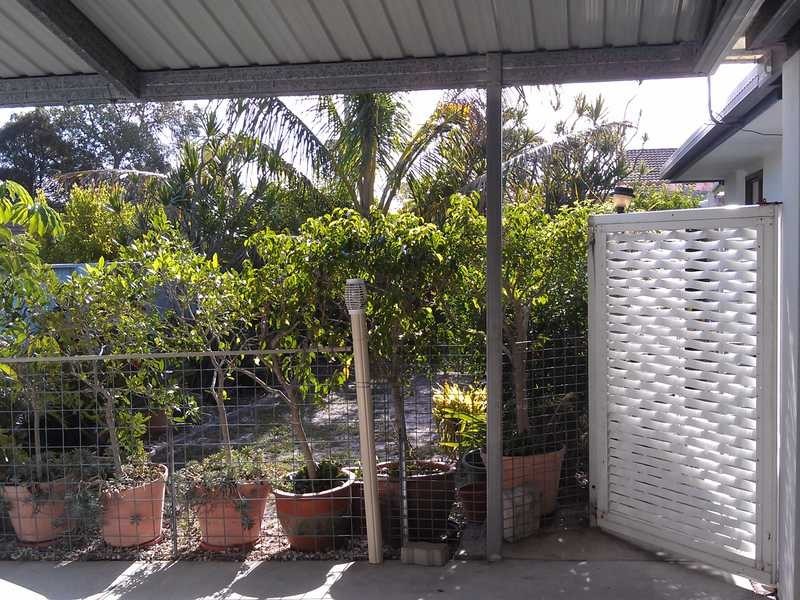 11 Parumba St, Wurtulla QLD 4575