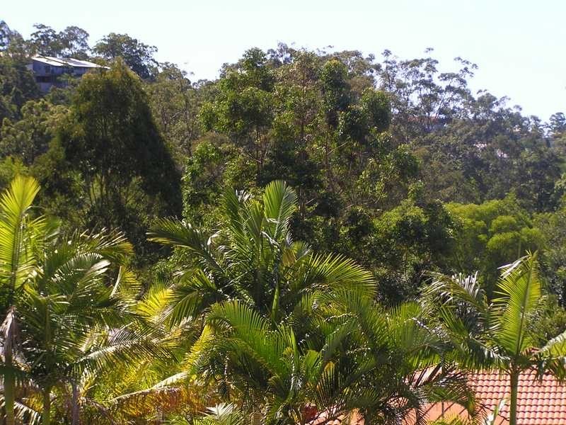 1 Cooba Close, Buderim QLD 4556