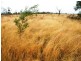 Memerambi QLD 4610