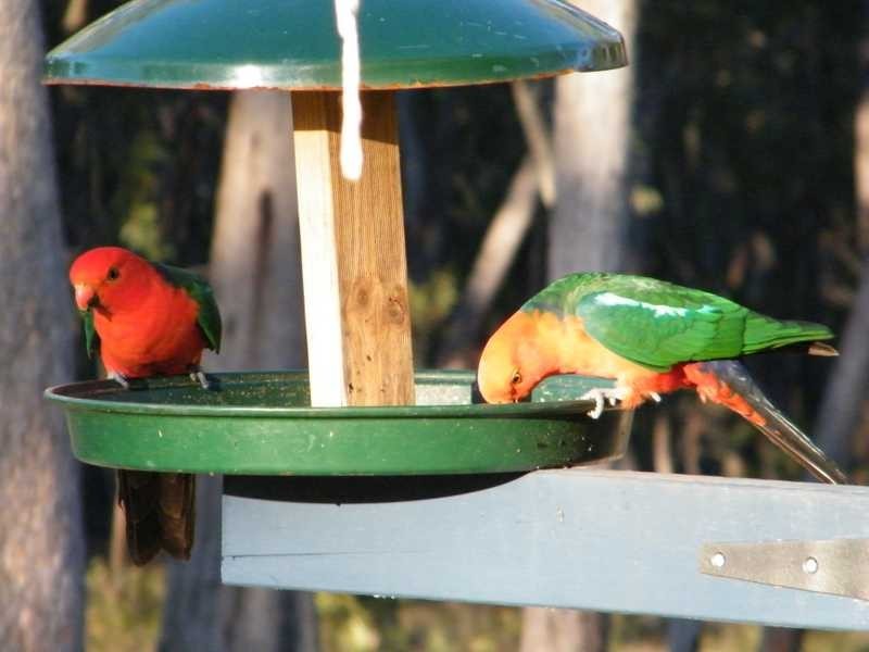 Gordonbrook QLD 4610
