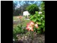 Gordonbrook QLD 4610