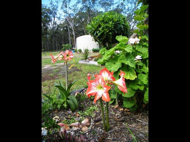Gordonbrook QLD 4610