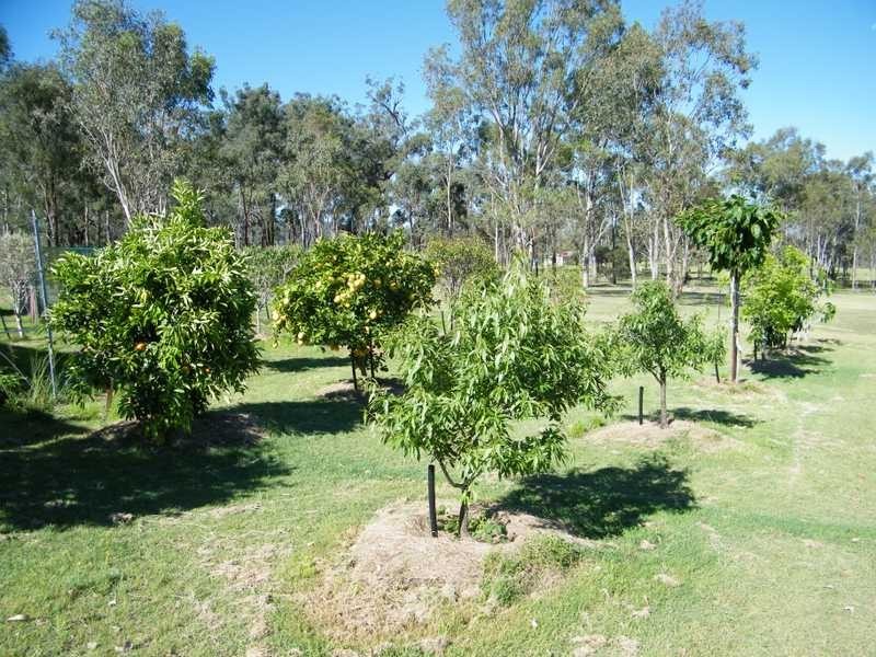 Nanango QLD 4615