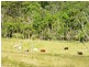 Pimpimbudgee QLD 4615