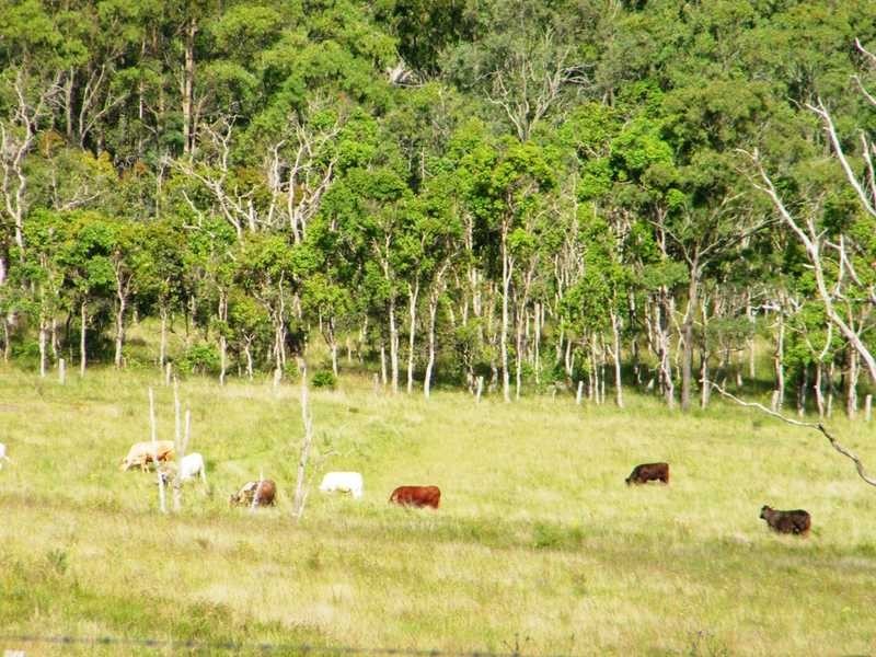 Pimpimbudgee QLD 4615