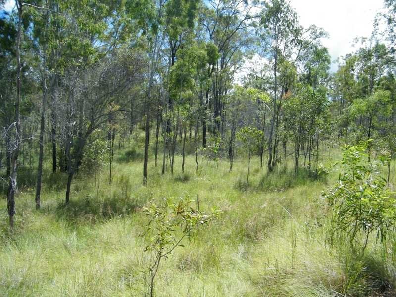 Wattle Camp QLD 4615