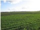 Wondai QLD 4606