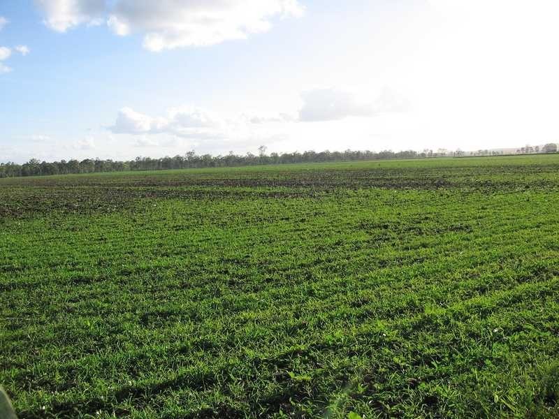 Wondai QLD 4606