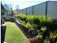 17 Daisy Court, Kingaroy QLD 4610