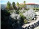 17 Daisy Court, Kingaroy QLD 4610