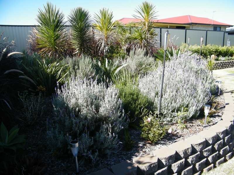 17 Daisy Court, Kingaroy QLD 4610