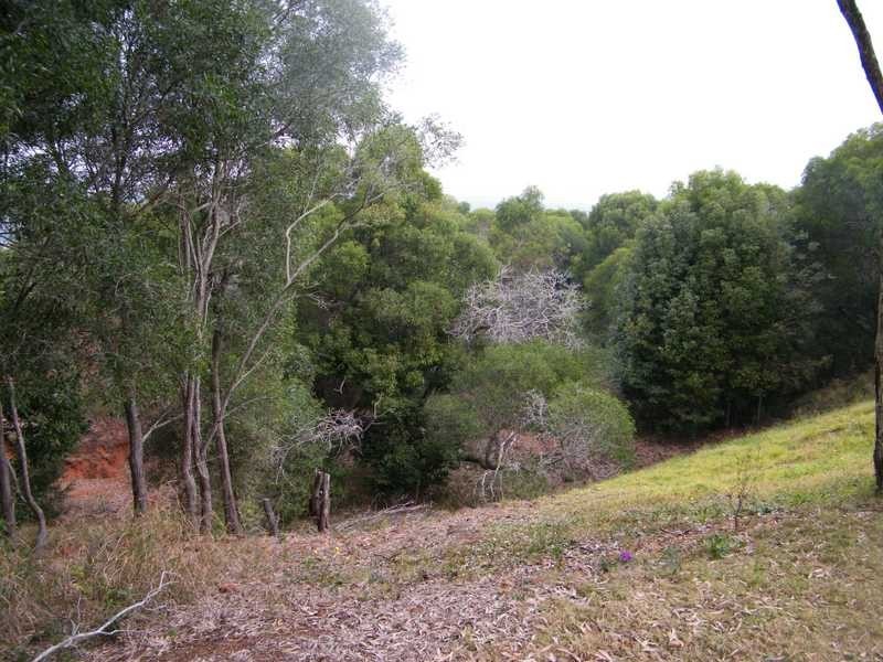 39 Cowie Drive, Kingaroy QLD 4610
