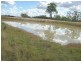 Durong QLD 4610