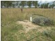 Durong QLD 4610