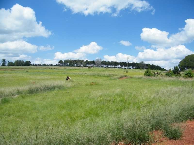 581 Boonenne Ellesmere Road, Kingaroy QLD 4610