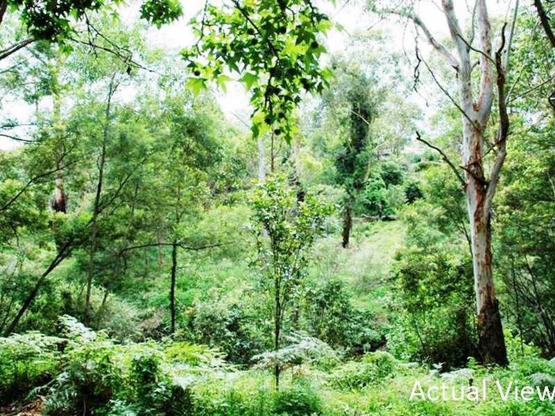 98 Sherwood Street, Northmead NSW 2152