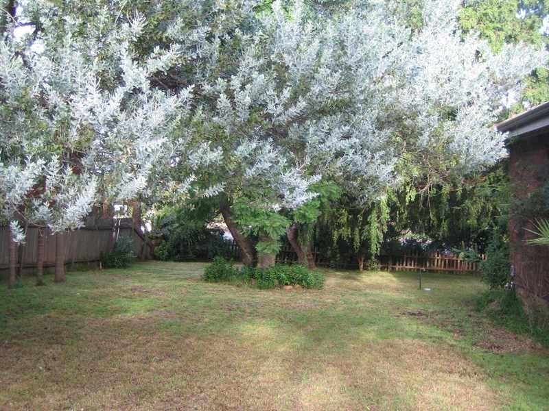 162 Windsor Road, Northmead NSW 2152