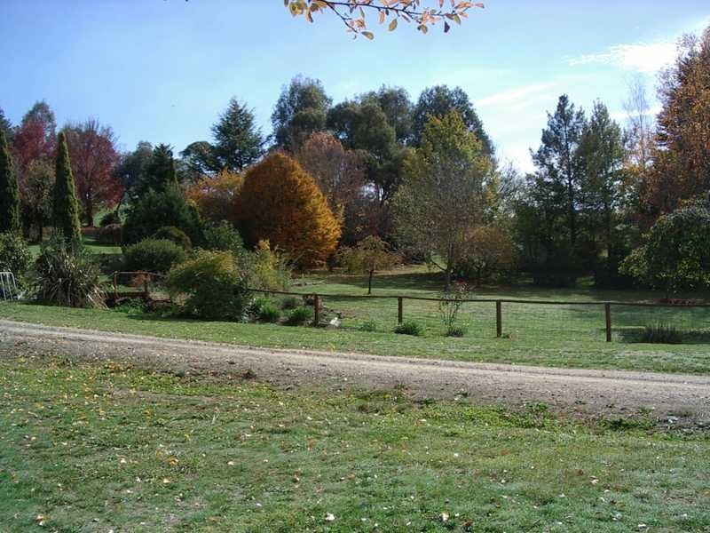 65 Bogong Street, Tumbarumba NSW 2653