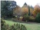 65 Bogong Street, Tumbarumba NSW 2653