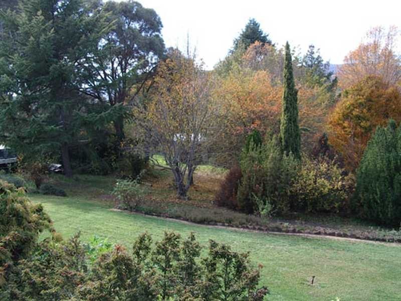 65 Bogong Street, Tumbarumba NSW 2653