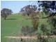 Carabost Road, Humula NSW 2652