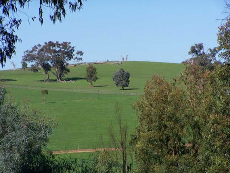 Carabost Road, Humula NSW 2652