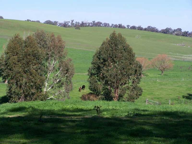 Carabost Road, Humula NSW 2652