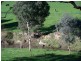 Carabost Road, Humula NSW 2652