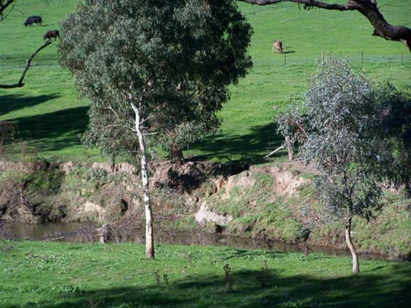 Carabost Road, Humula NSW 2652