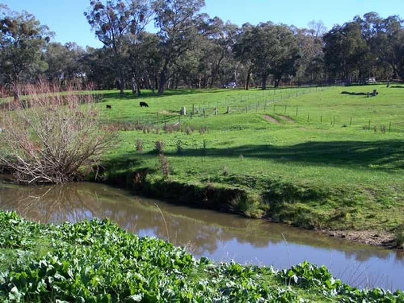 Carabost Road, Humula NSW 2652