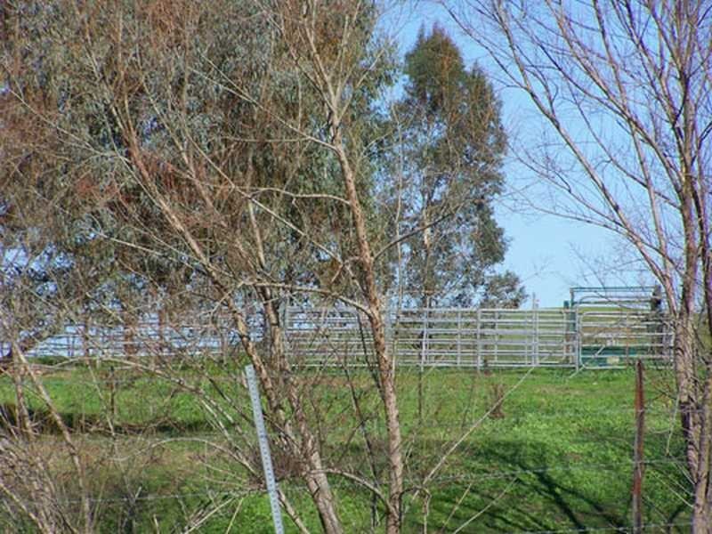 Carabost Road, Humula NSW 2652