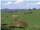Carabost Road, Humula NSW 2652