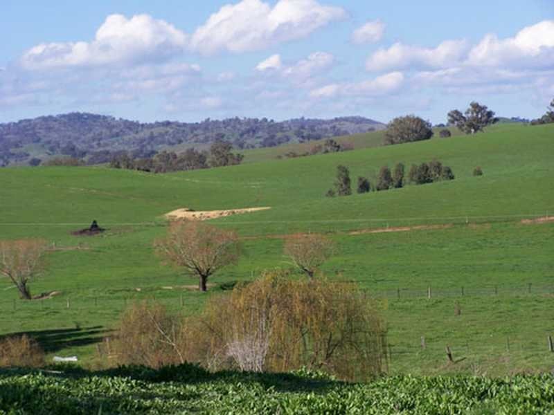 Carabost Road, Humula NSW 2652