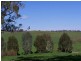 Carabost Road, Humula NSW 2652