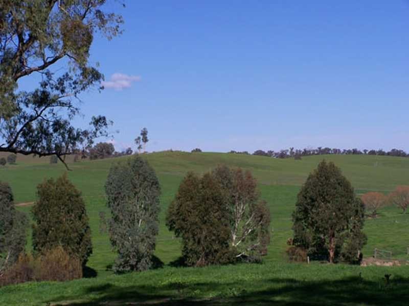 Carabost Road, Humula NSW 2652