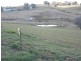 79 Camden Park Road, Tumbarumba NSW 2653