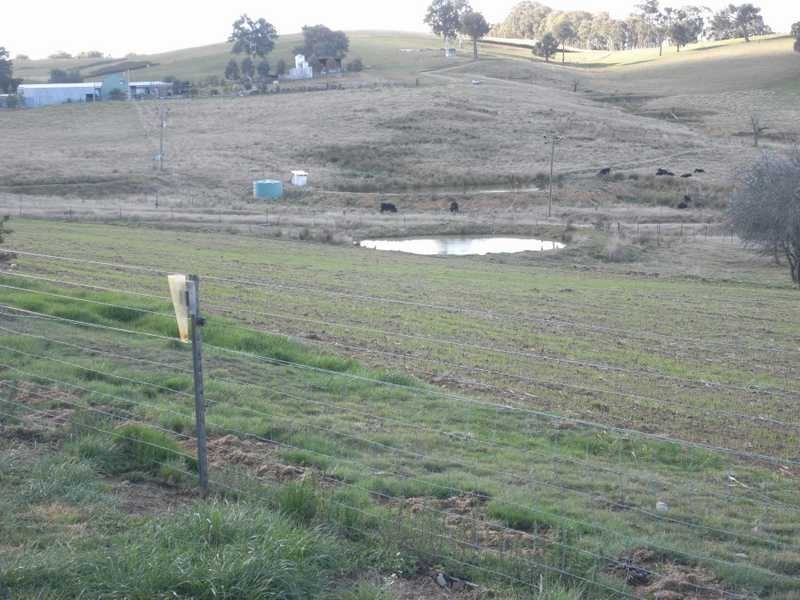 79 Camden Park Road, Tumbarumba NSW 2653