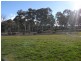 79 Camden Park Road, Tumbarumba NSW 2653