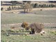 Block 10 River Road, Jingellic NSW 2642