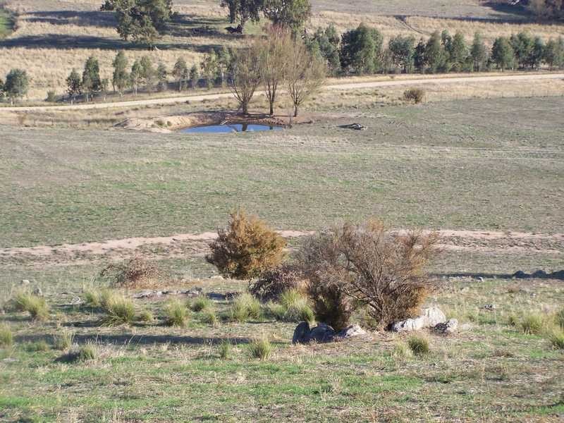 Block 10 River Road, Jingellic NSW 2642