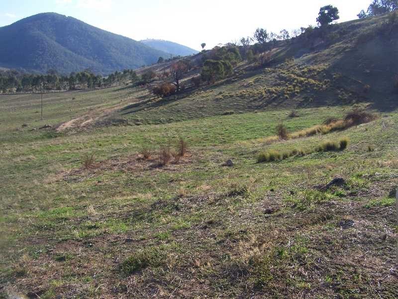 Block 10 River Road, Jingellic NSW 2642