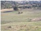 Block 10 River Road, Jingellic NSW 2642