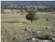 Block 10 River Road, Jingellic NSW 2642