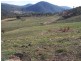 Block 10 River Road, Jingellic NSW 2642