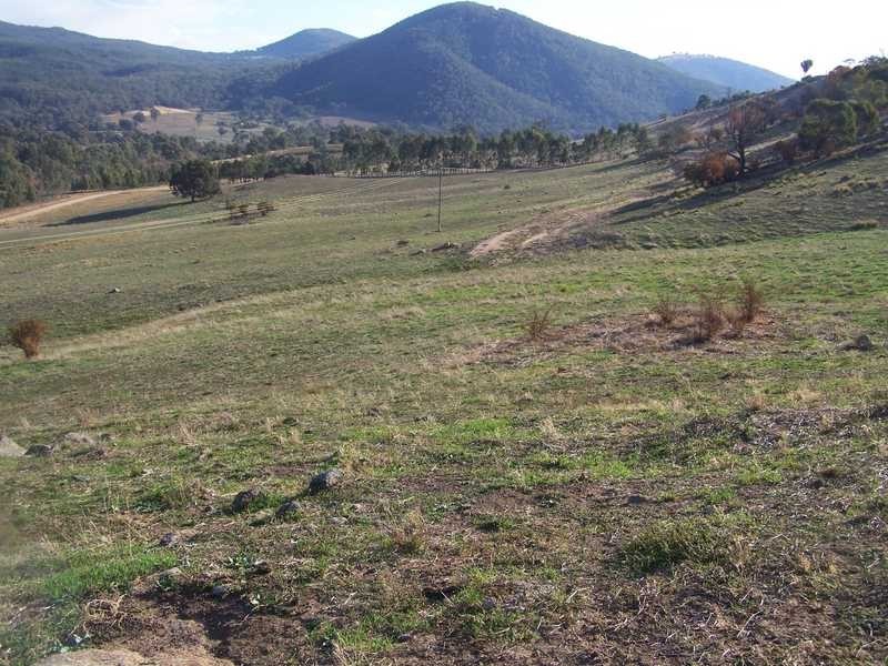 Block 10 River Road, Jingellic NSW 2642