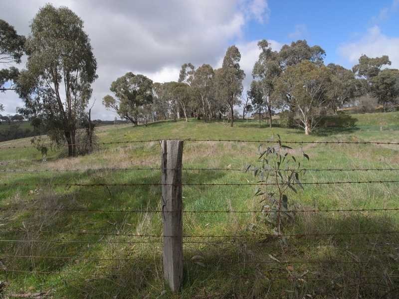 Lot 117 Albury Street, Tumbarumba NSW 2653